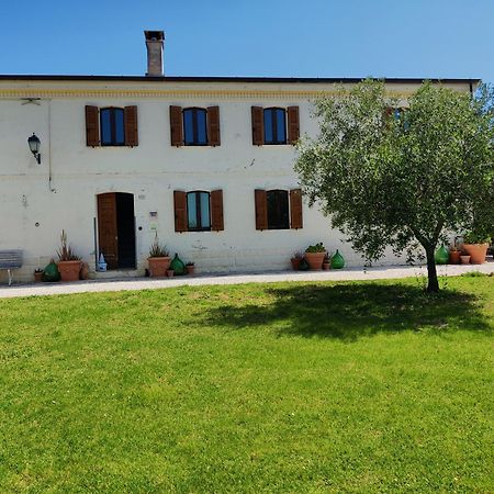 Rustico Del Bozzo Pension Castelleone di Suasa Buitenkant foto