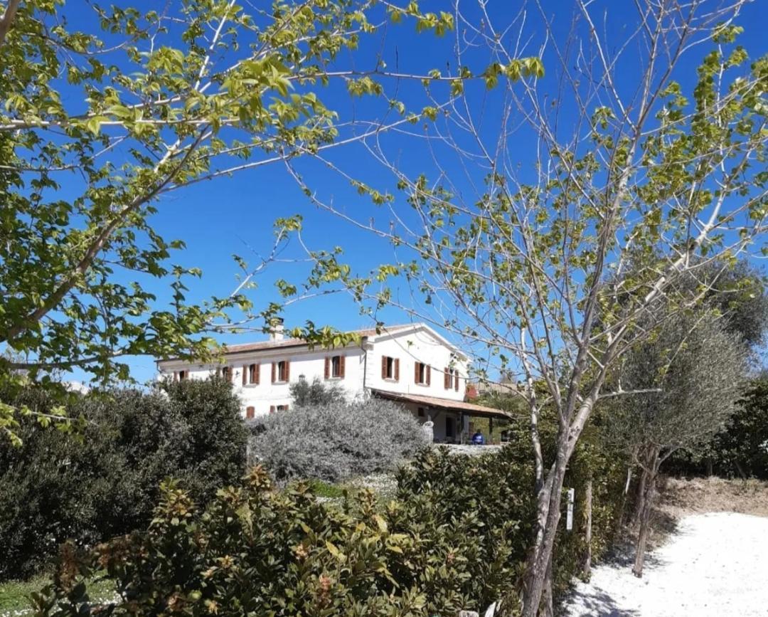 Rustico Del Bozzo Pension Castelleone di Suasa Buitenkant foto