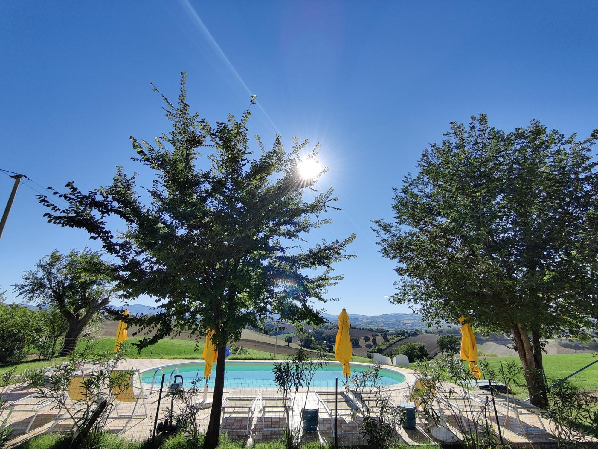 Rustico Del Bozzo Pension Castelleone di Suasa Buitenkant foto