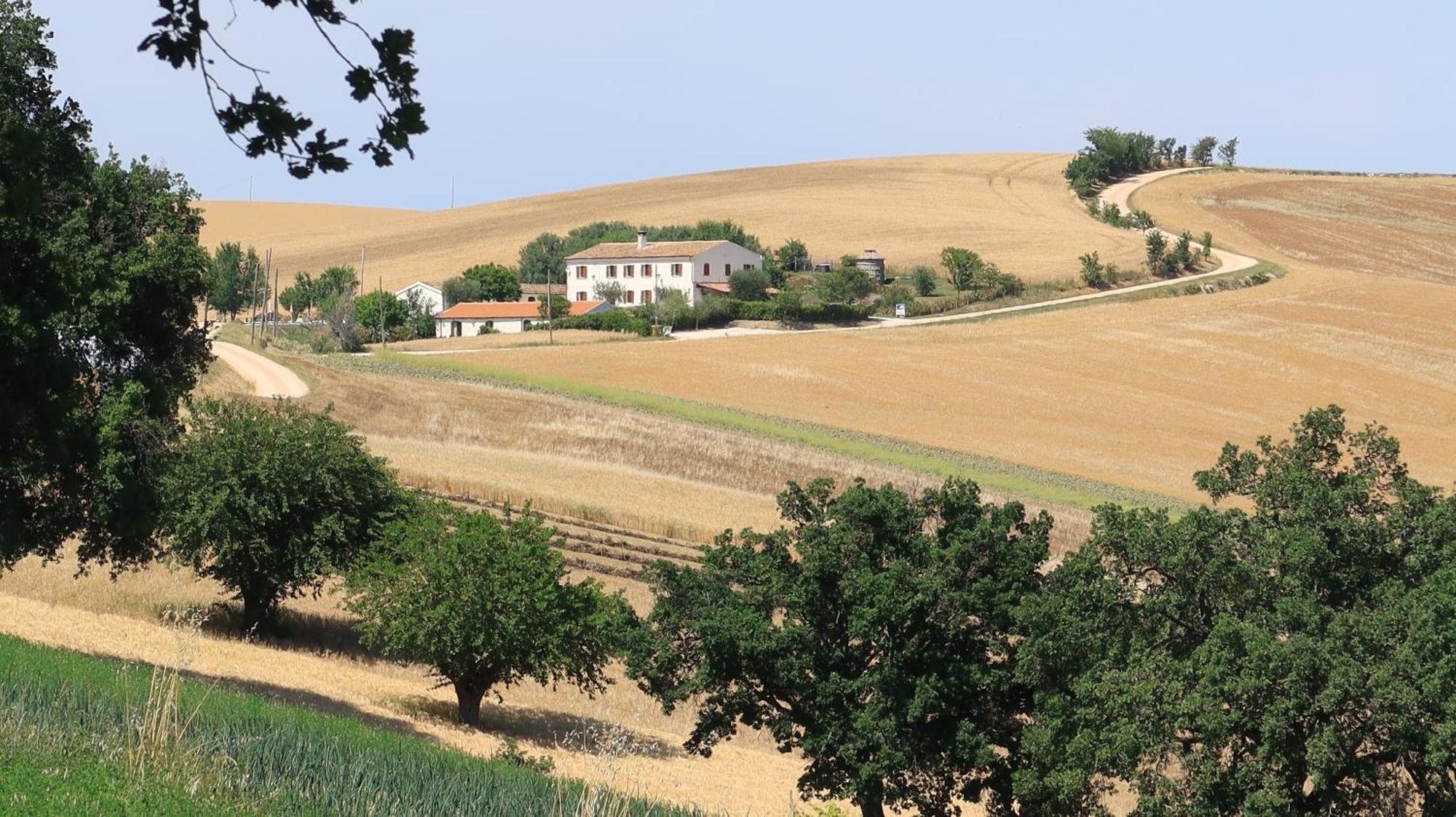 Rustico Del Bozzo Pension Castelleone di Suasa Buitenkant foto