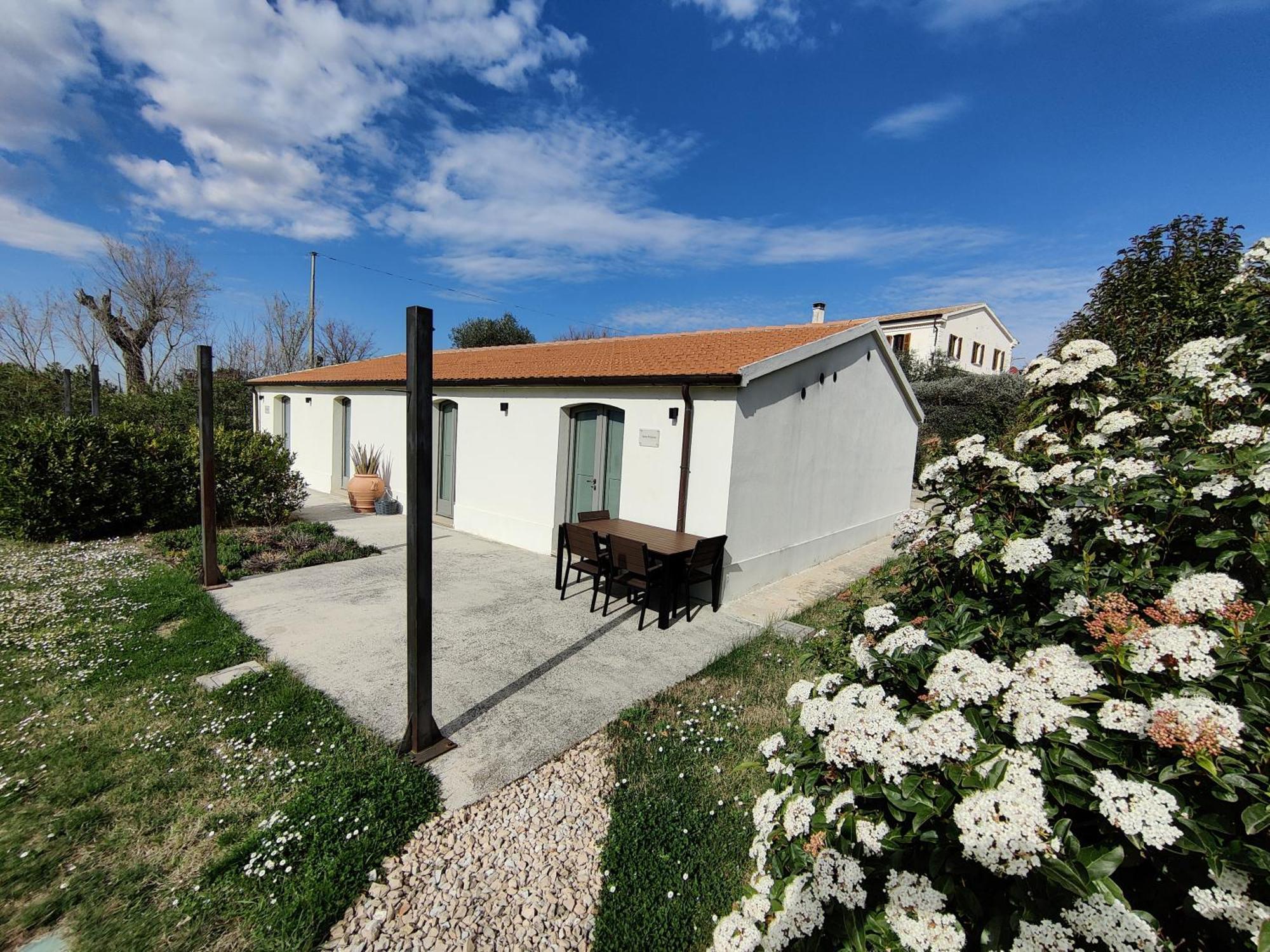 Rustico Del Bozzo Pension Castelleone di Suasa Buitenkant foto