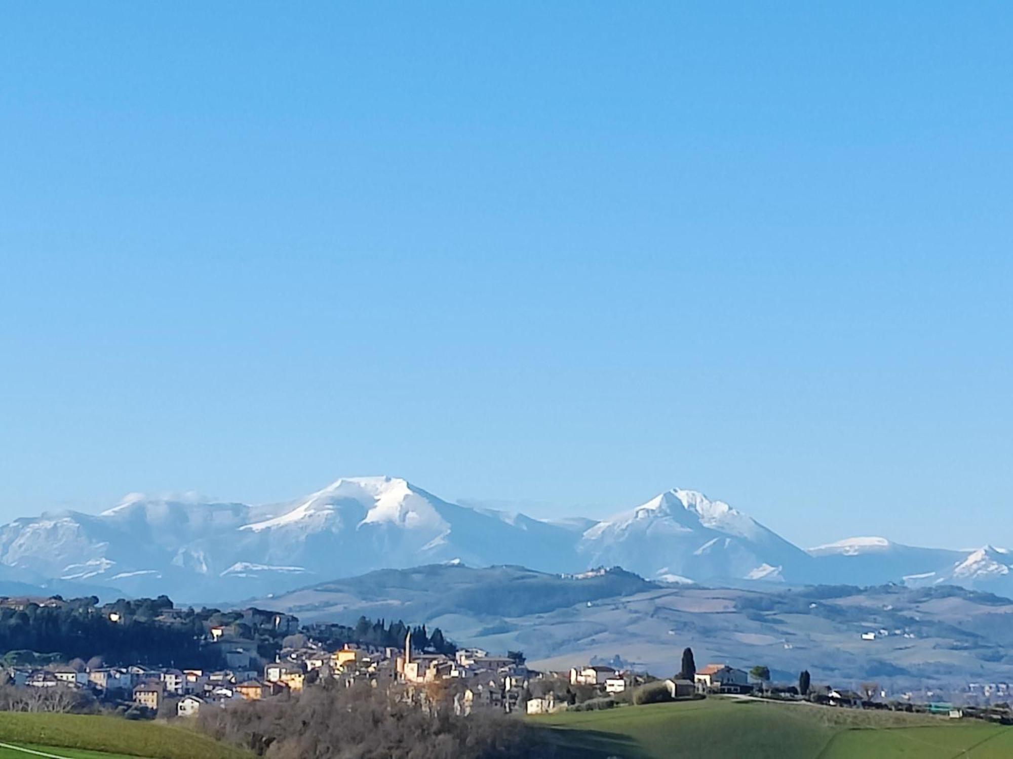 Rustico Del Bozzo Pension Castelleone di Suasa Buitenkant foto